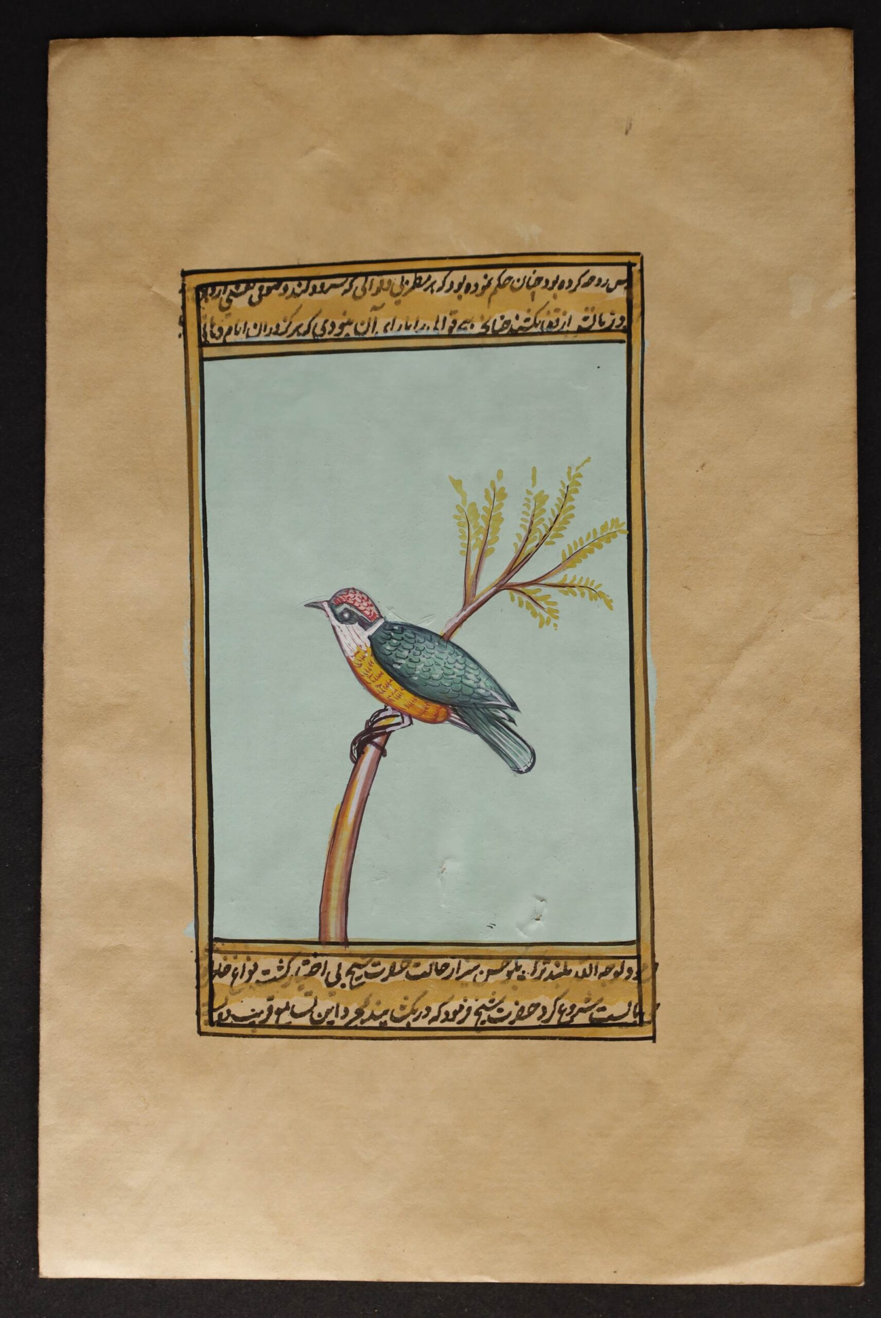 Bird miniature painting