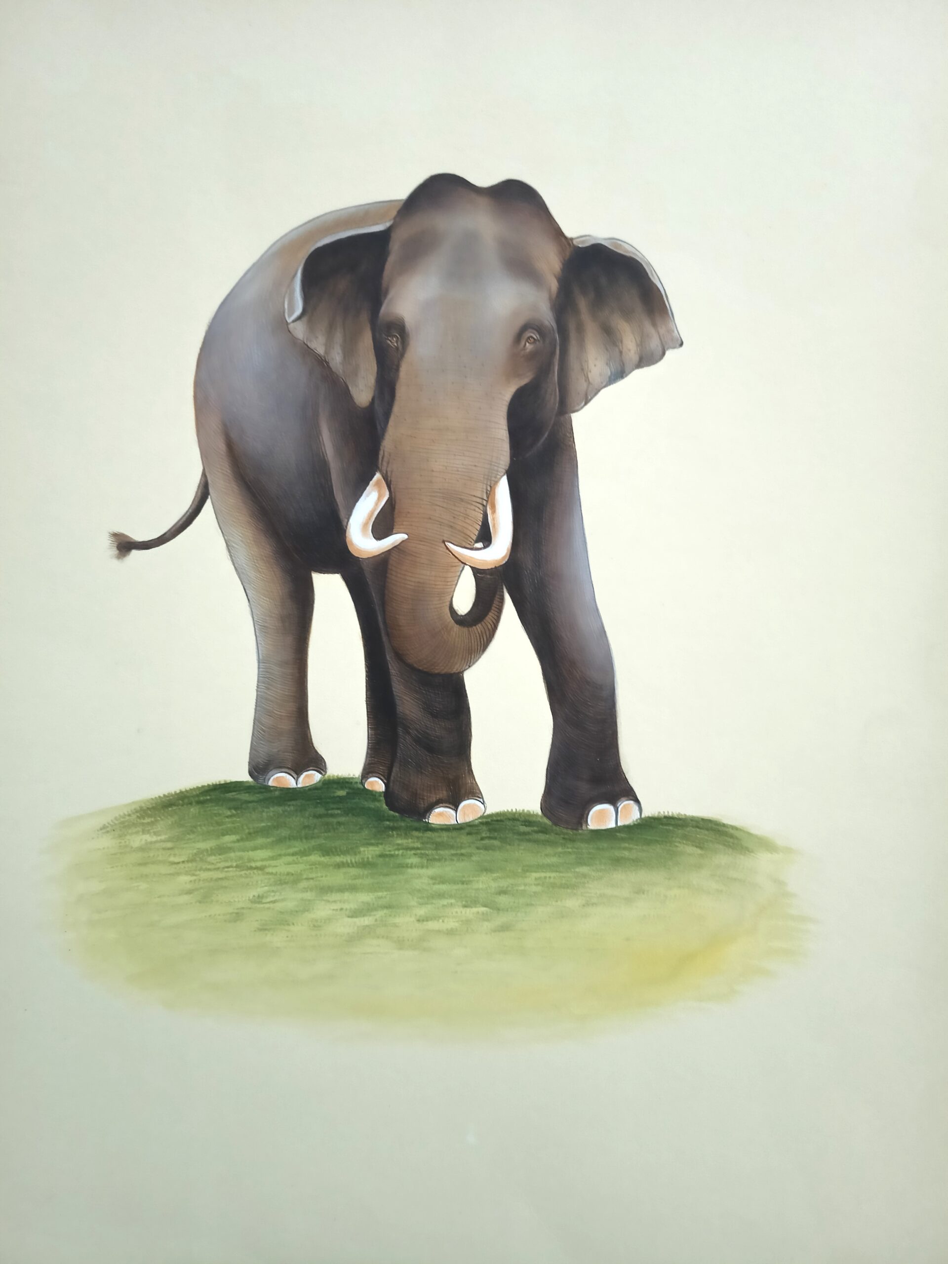Elephant Miniature Painting