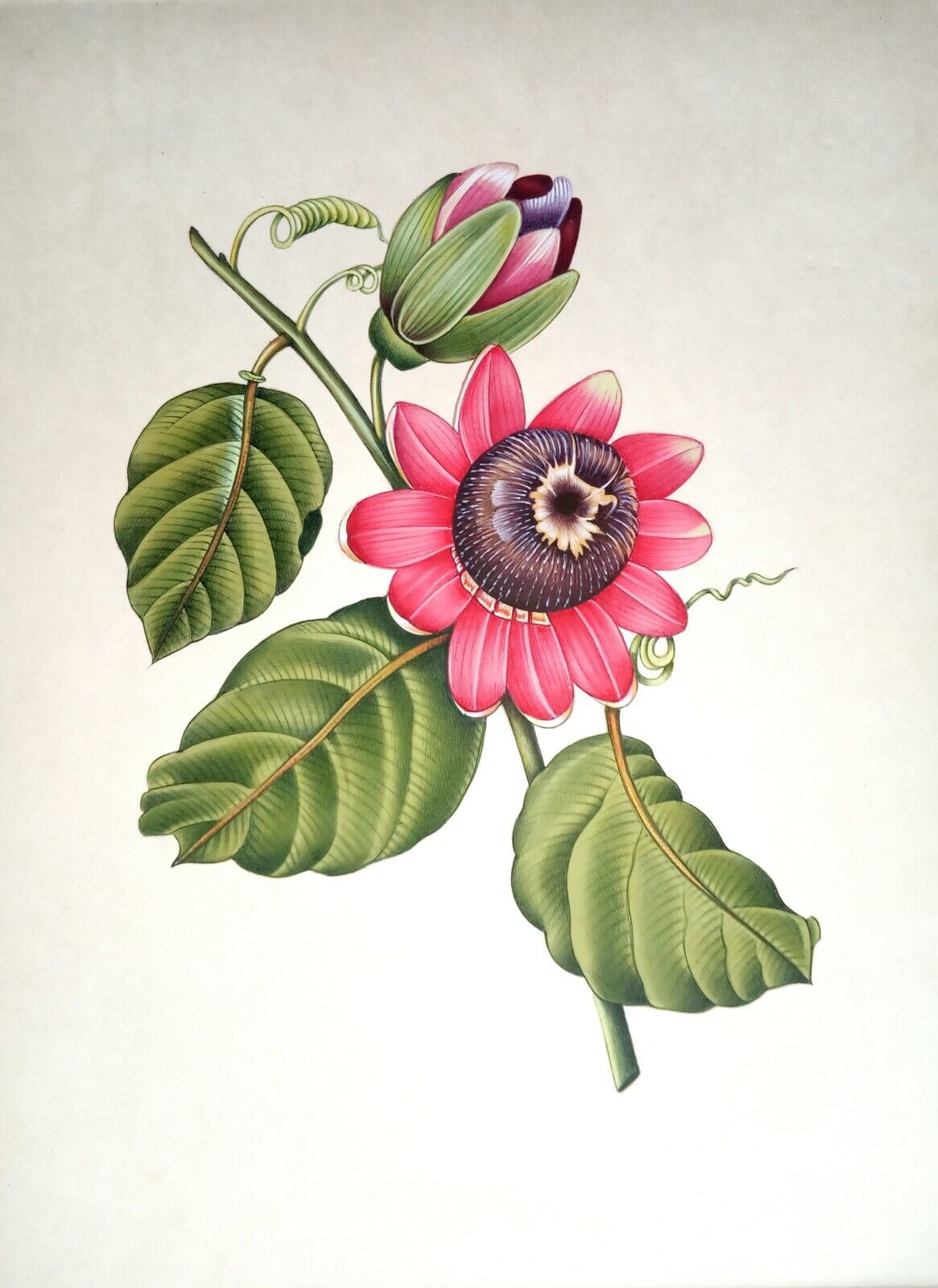Flower Miniature Painting